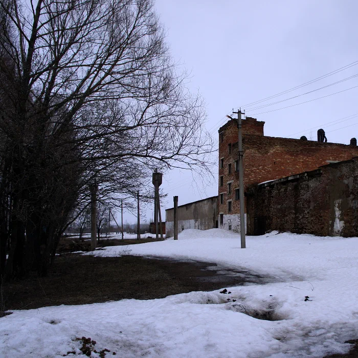 Зерносушилка — DSC04691