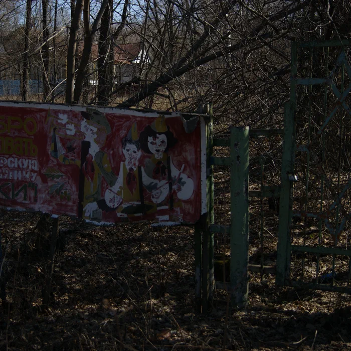 Лагерь Дубки — DSC01926