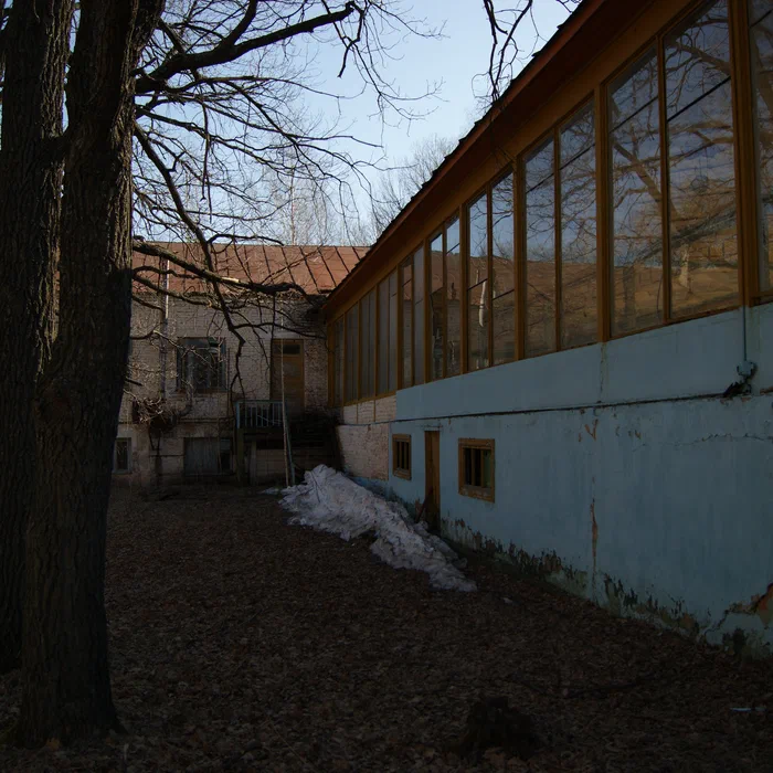 Лагерь Дубки — DSC01941