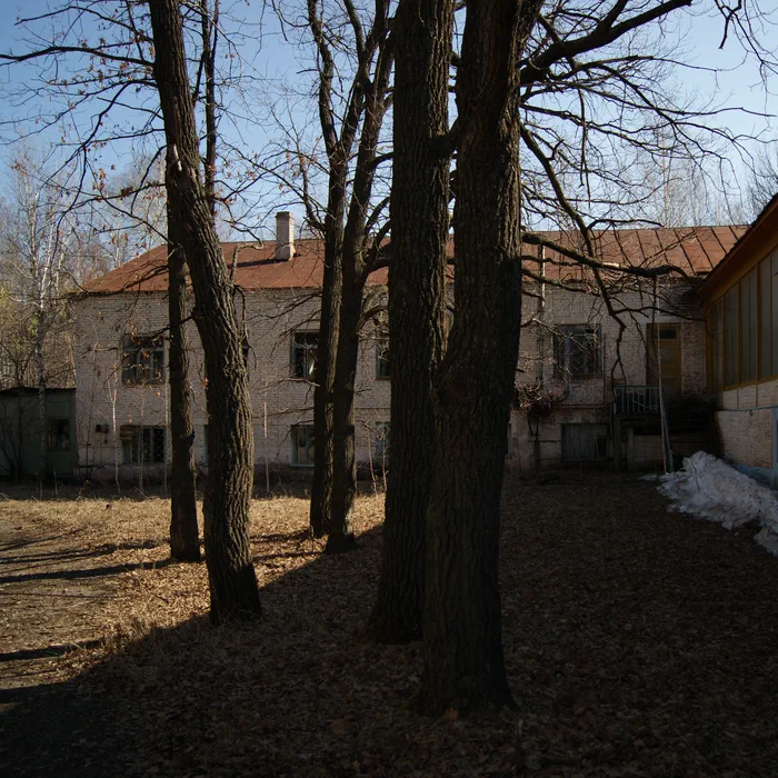 Лагерь Дубки — DSC01942