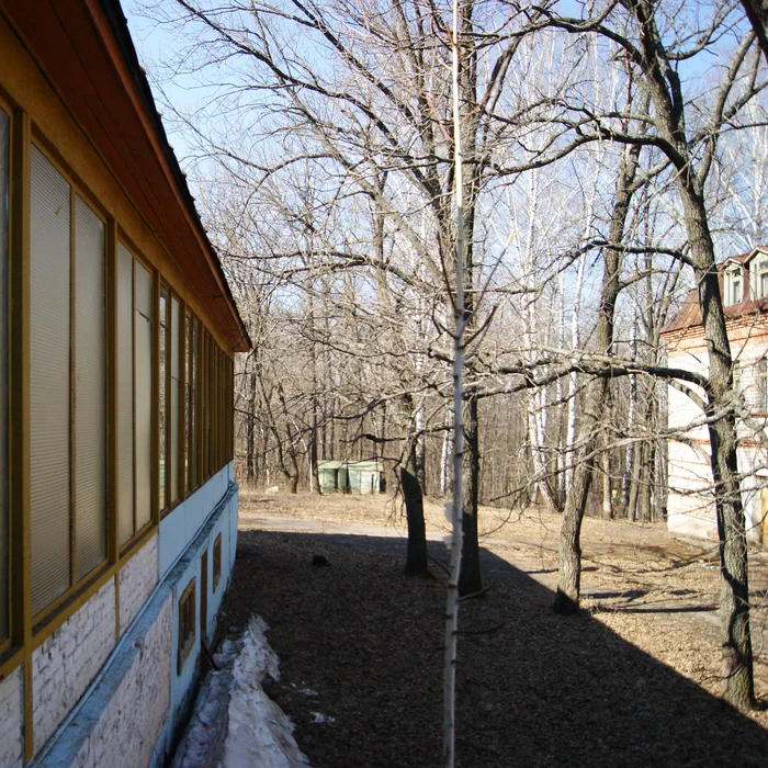 Лагерь Дубки — DSC01982