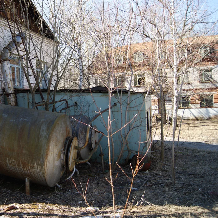 Лагерь Дубки — DSC02012