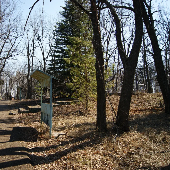 Лагерь Дубки — DSC02024