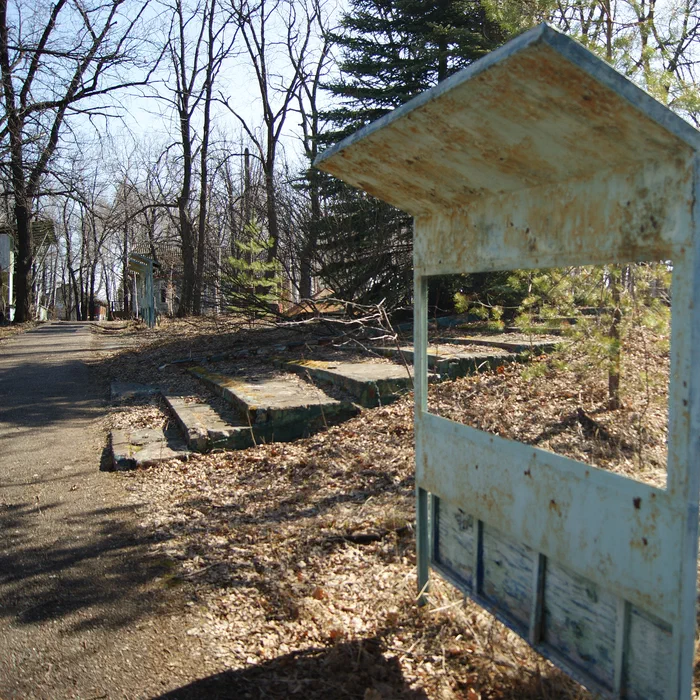 Лагерь Дубки — DSC02025