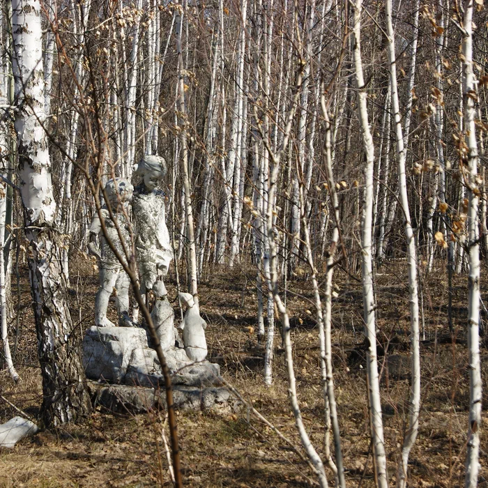 Лагерь Дубки — DSC02026