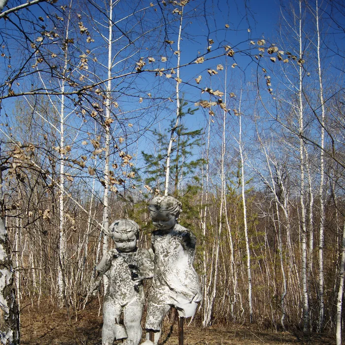 Лагерь Дубки — DSC02029