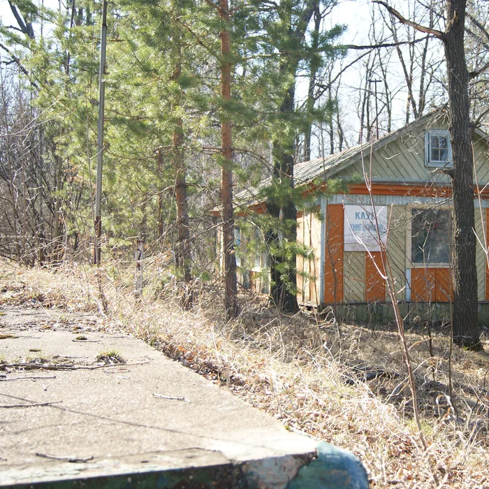 Лагерь Дубки — DSC02032