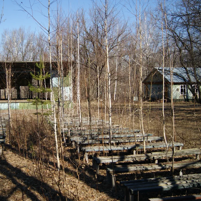 Лагерь Дубки — DSC02039