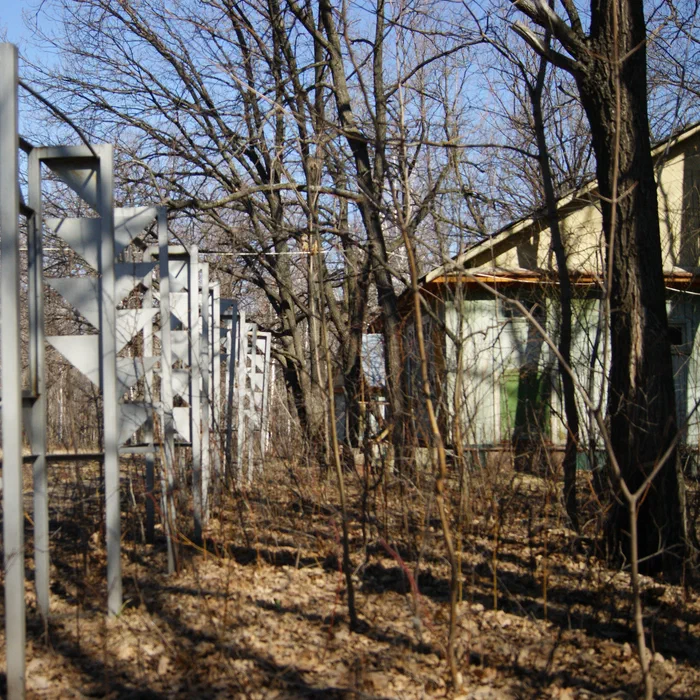 Лагерь Дубки — DSC02065