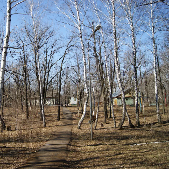 Лагерь Дубки — DSC02083