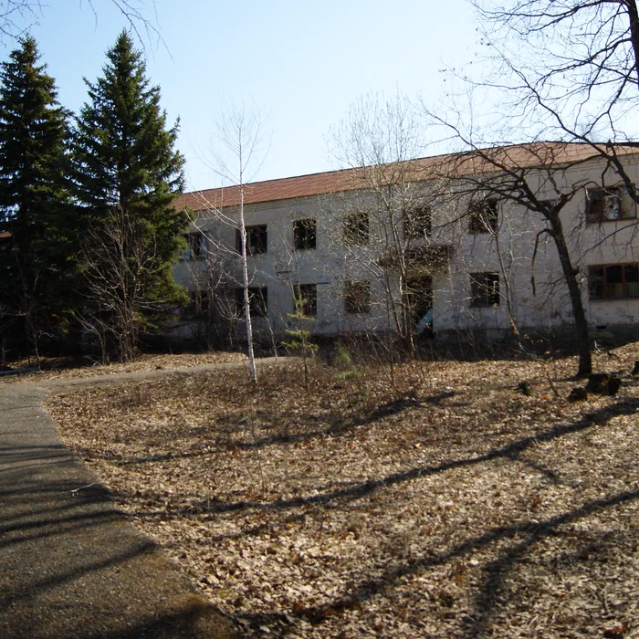 Лагерь Дубки — DSC02084