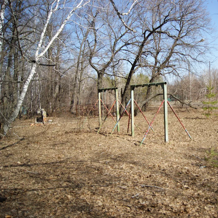 Лагерь Дубки — DSC02085