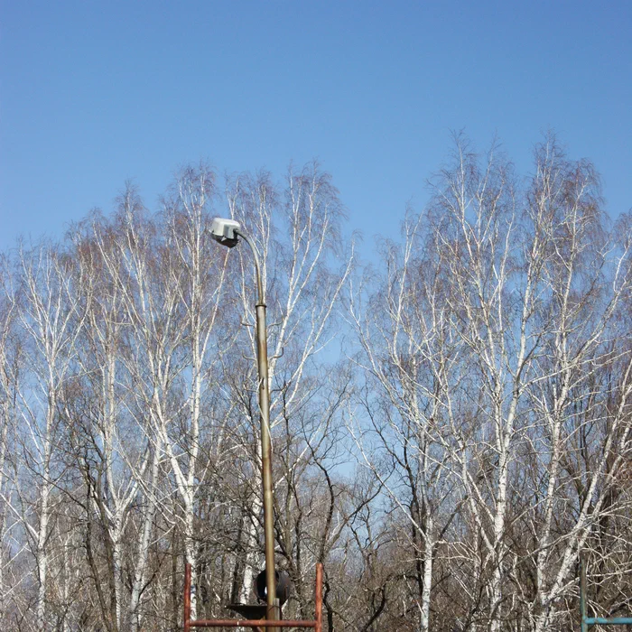 Лагерь Дубки — DSC02092