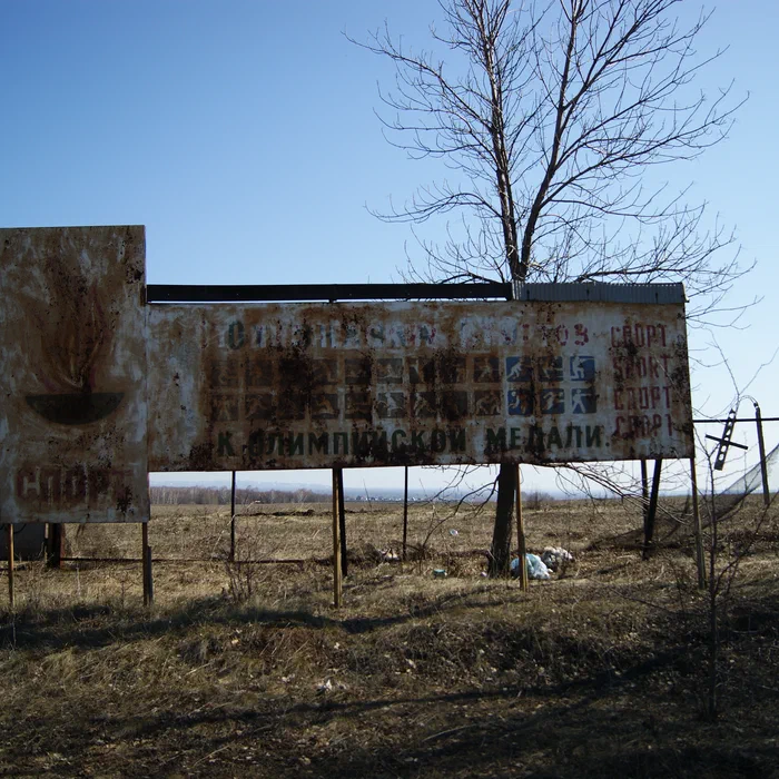 Лагерь Дубки — DSC02112