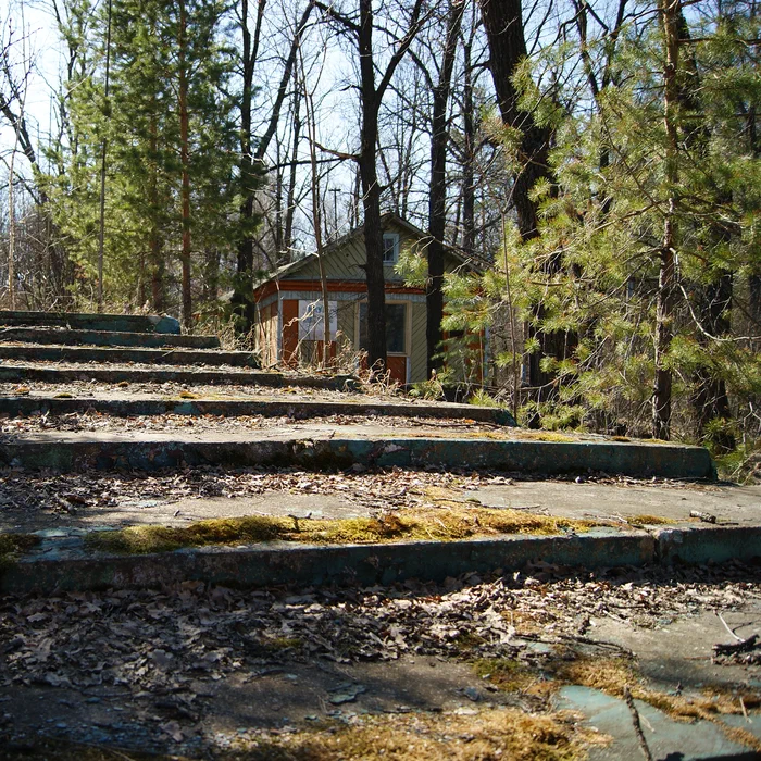 Лагерь Дубки — DSC02126
