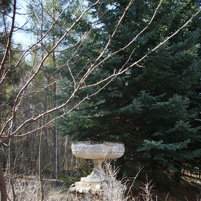 Лагерь Дубки — DSC02127