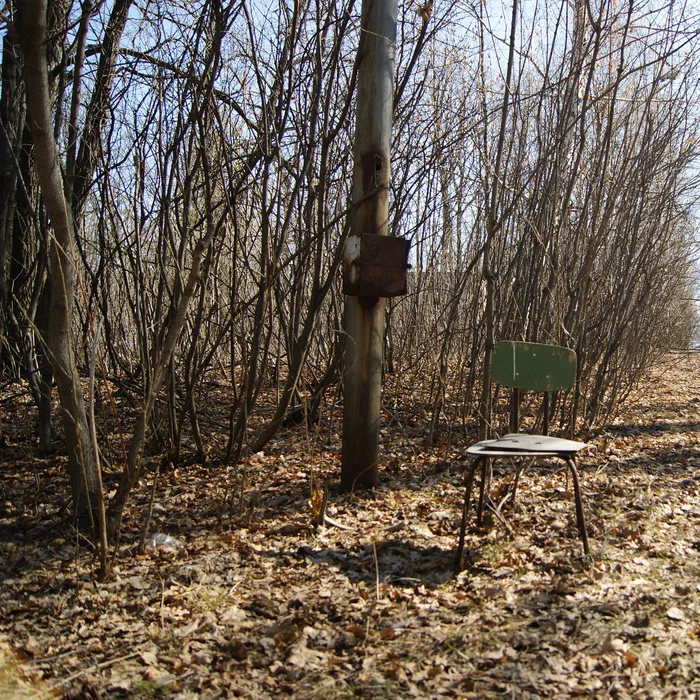 Лагерь Дубки — DSC02131