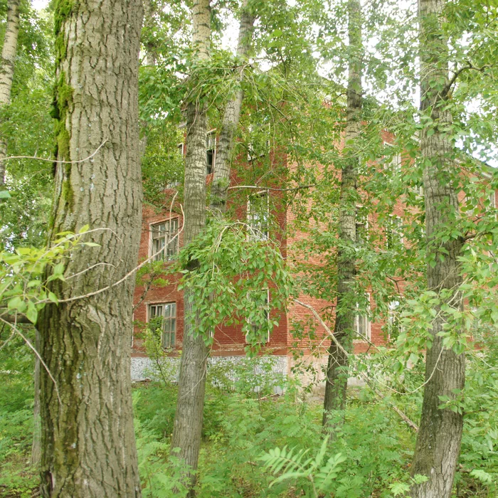 Психбольница 2 — DSC04618