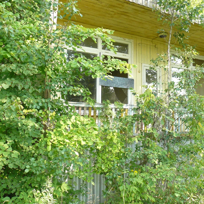 Турбаза Ивушка — P1030954