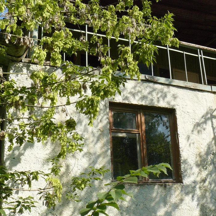 Турбаза Ивушка — P1070897
