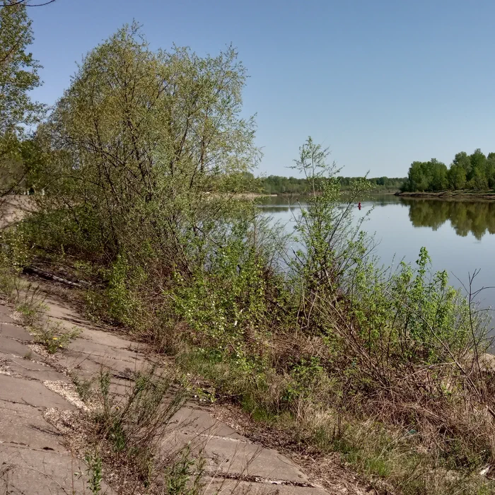 Турбаза около Уфы — IMG_20190511_111448
