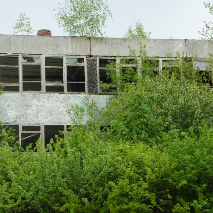 Нефтеперерабатывающий завод — DSC04352