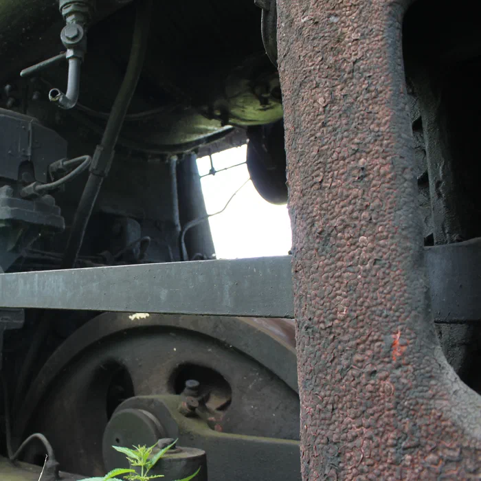 Кладбище паровозов — IMG_5971