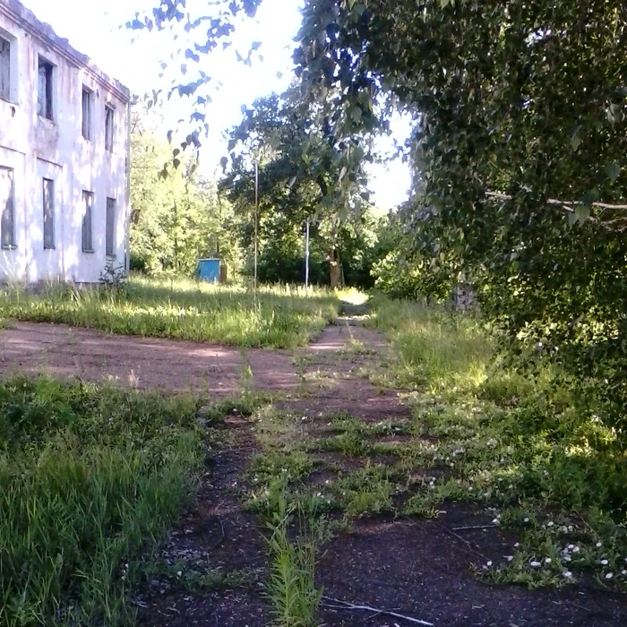 База отдыха "Озеро Шамсутдин" — IMG_20100101_052641