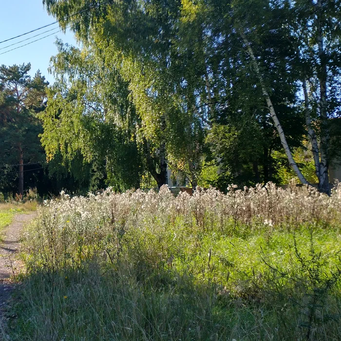 База отдыха "Озеро Шамсутдин" — IMG_20200905_161424288_HDR