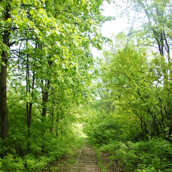 База отдыха "Березка" — DSC04397