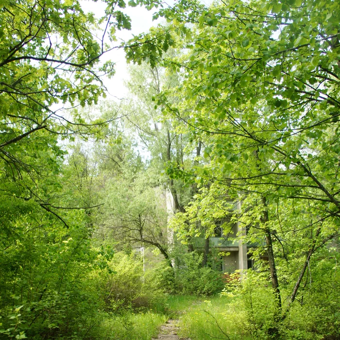 База отдыха "Березка" — DSC04399