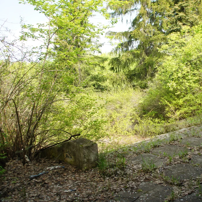 База отдыха "Березка" — DSC04427