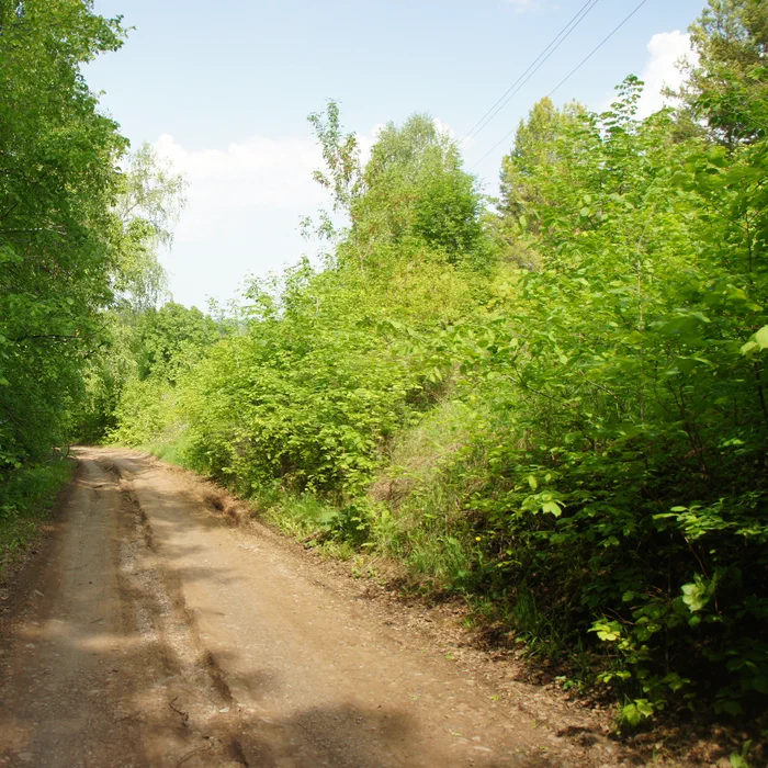 База отдыха "Березка" — DSC04474