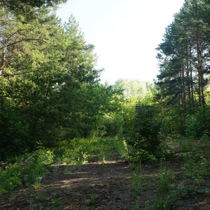 База отдыха "Березка" — DSC06942