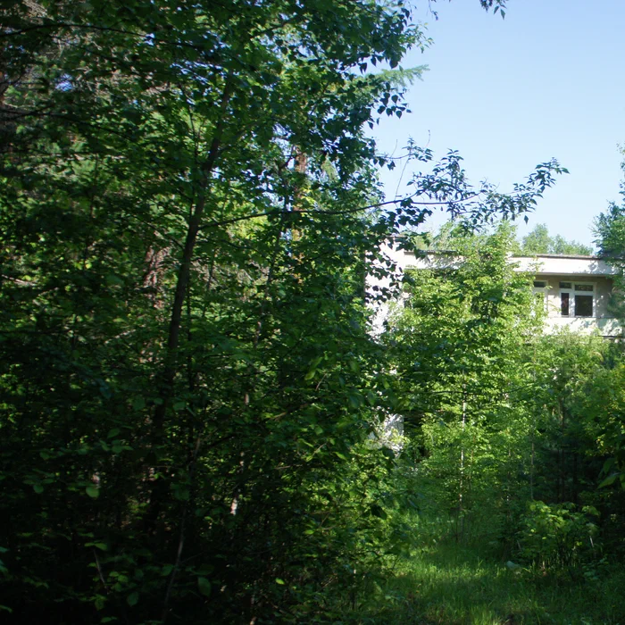 База отдыха "Березка" — DSC06945