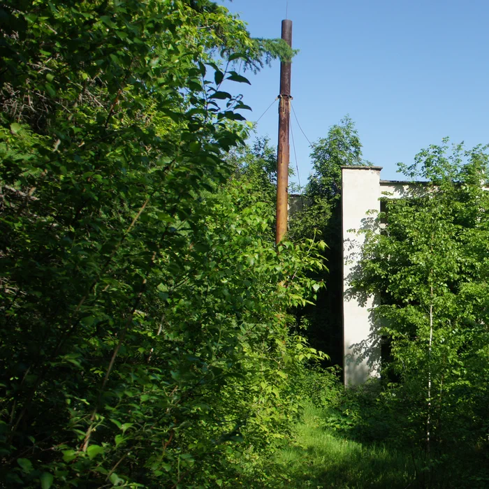 База отдыха "Березка" — DSC06946