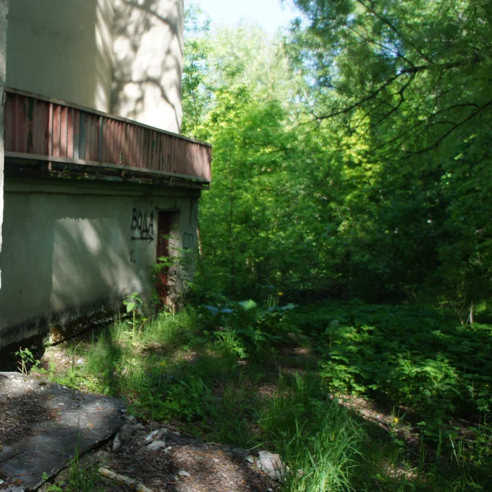 База отдыха "Березка" — DSC06948