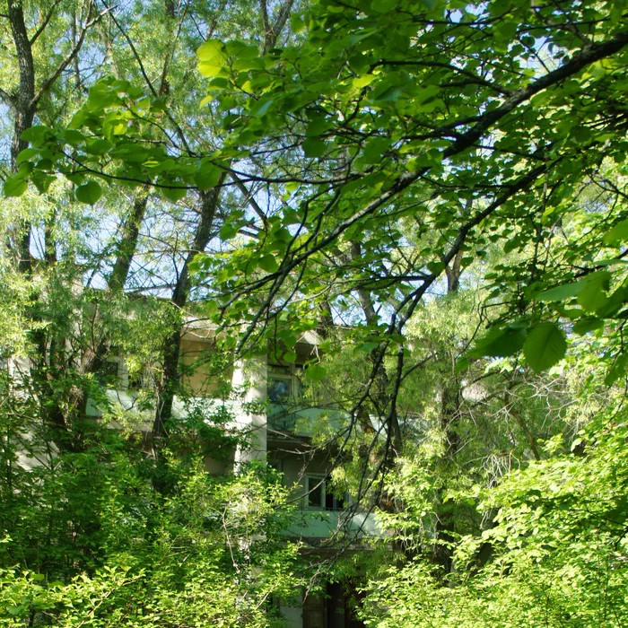 База отдыха "Березка" — DSC07007