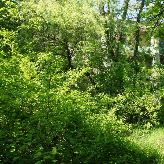 База отдыха "Березка" — DSC07008