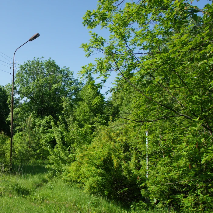 База отдыха "Березка" — DSC07020