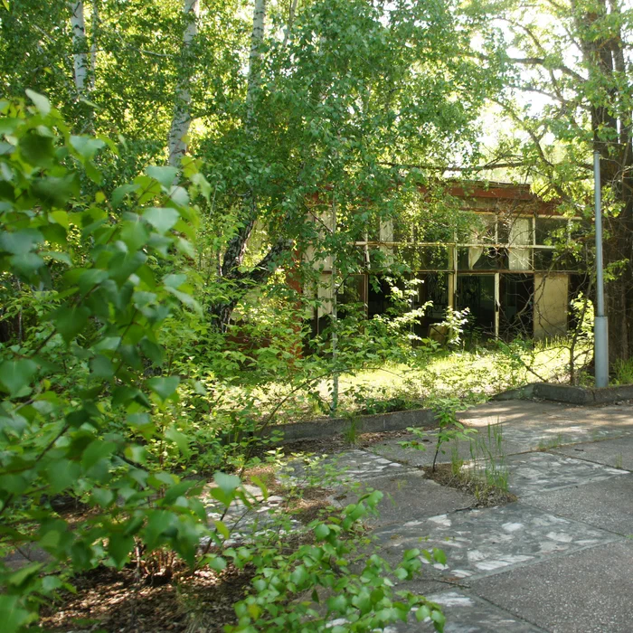 База отдыха "Березка" — DSC07043
