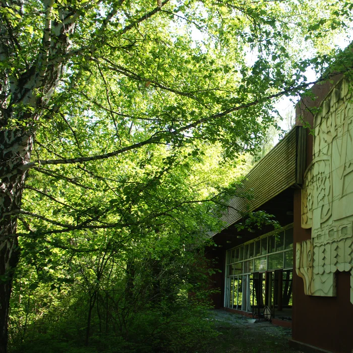 База отдыха "Березка" — DSC07053