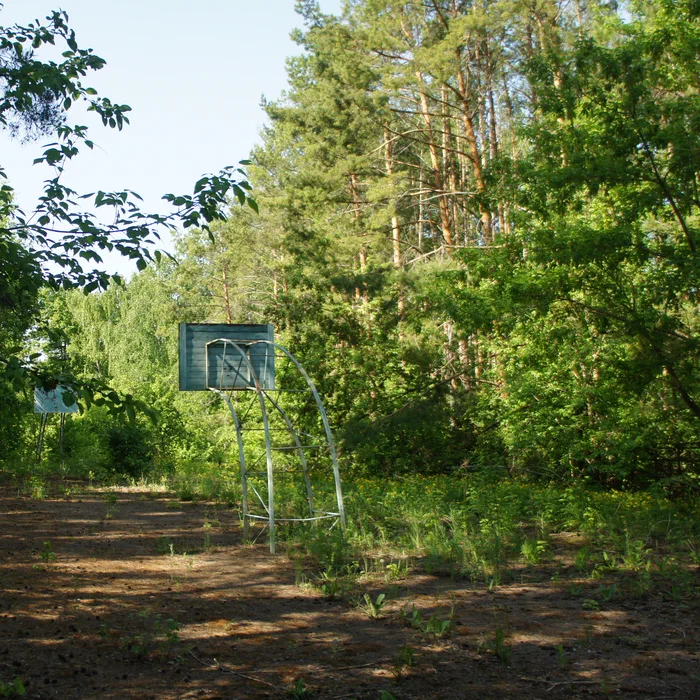 База отдыха "Березка" — DSC07055