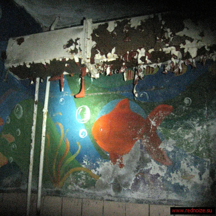 База отдыха "Березка" — IMG_0323