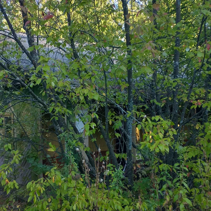 База отдыха "Березка" — IMG_20200908_091232638_HDR