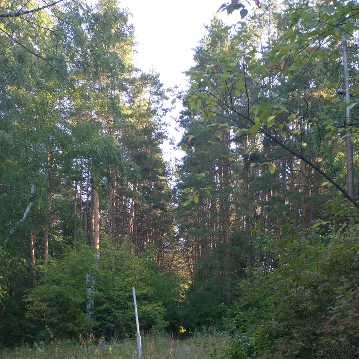 База отдыха "Березка" — IMG_20200908_091355105