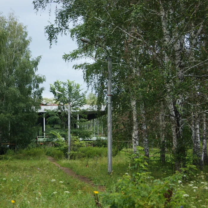 База отдыха "УНПЗ" — DSC06187