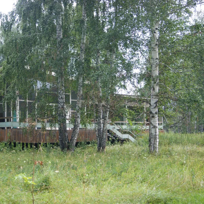 База отдыха "УНПЗ" — DSC06197