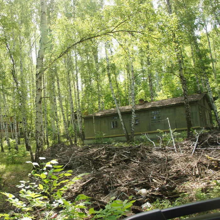 База отдыха "Айгуль" и мост — DSC04478