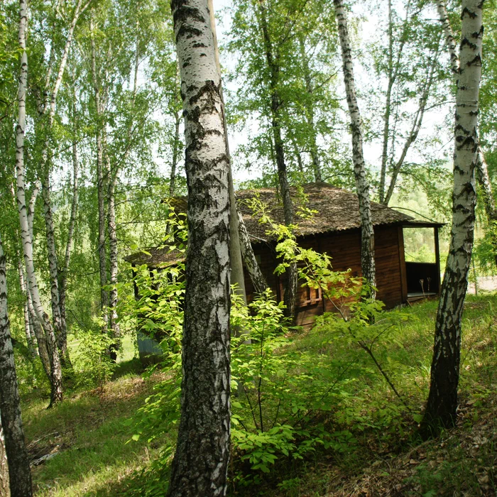 База отдыха "Айгуль" и мост — DSC04495